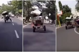Lucunya kuda penarik delman ngamuk di jalanan, yang lain minggir