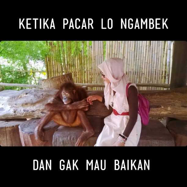meme ngambek © 2016 brilio.net meme ngambek © 2016 brilio.net