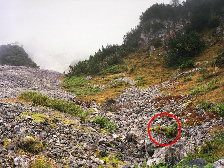 GE_TEBAK TEBAKAN © 2016 brilio.net