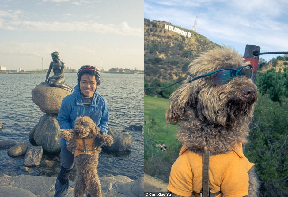 Fotografer ini ajak anjingnya keliling 23 negara pakai sepeda, wow!