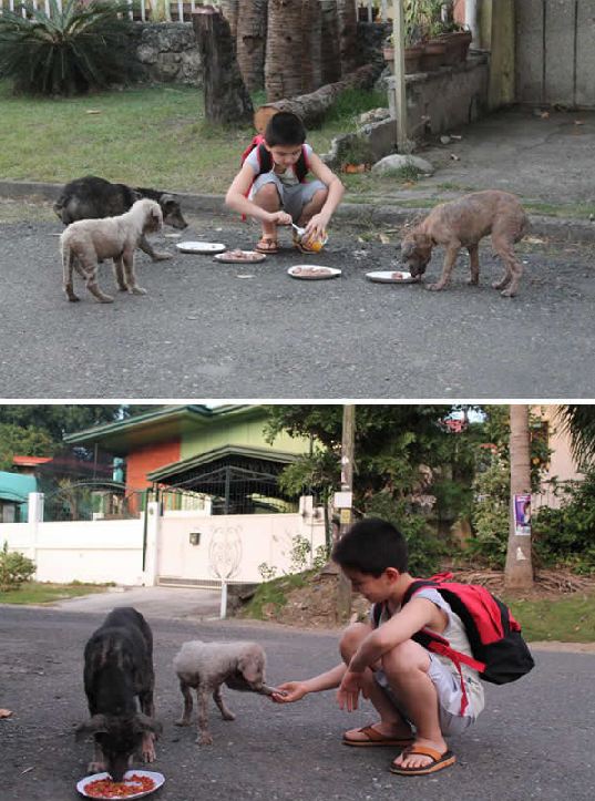 aksi bocah berhati emas © 2016 brilio.net