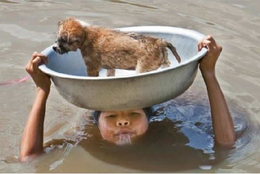 aksi bocah berhati emas © 2016 brilio.net