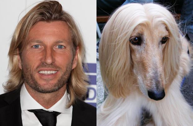 pemain bola wajah kocak  © 2016 brilio.net