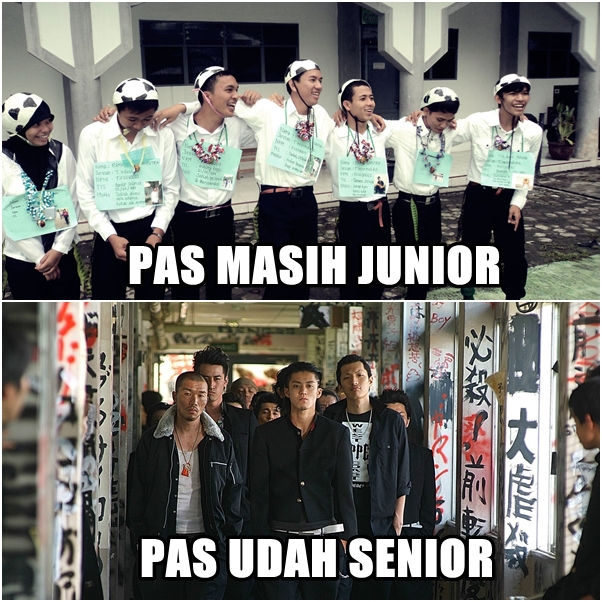  junior vs senior © 2016 brilio.net