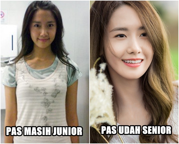  junior vs senior © 2016 brilio.net