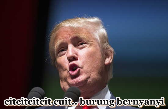 Muka Trump © 2016 brilio.net Muka Trump © 2016 brilio.net