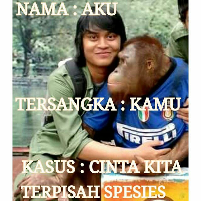 meme aku-kamu-kasus © 2016 brilio.net meme aku-kamu-kasus © 2016 brilio.net