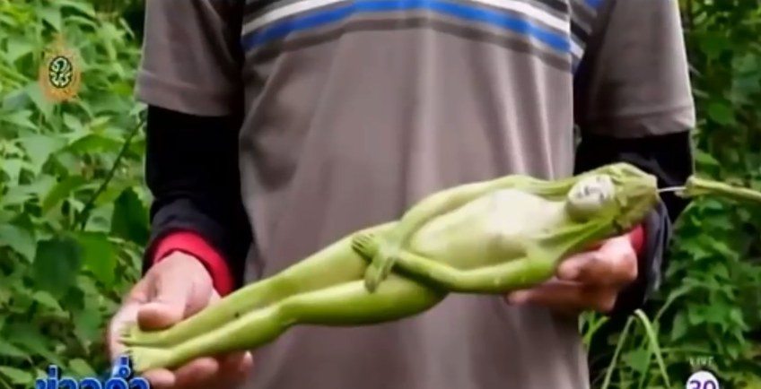 buah berbentuk postur tubuh wanita © 2016 brilio.net buah berbentuk postur tubuh wanita © 2016 brilio.net