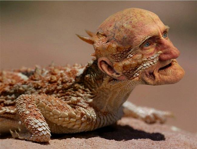 foto editan gagal paham ini malah bikin geli © 2016 brilio.net foto editan gagal paham ini malah bikin geli © 2016 brilio.net