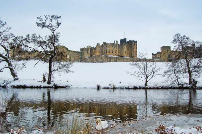 istana salju © 2016 brilio.net istana salju © 2016 brilio.net