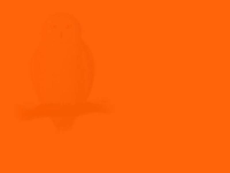 tes kepribadian introvert © 2016 brilio.net