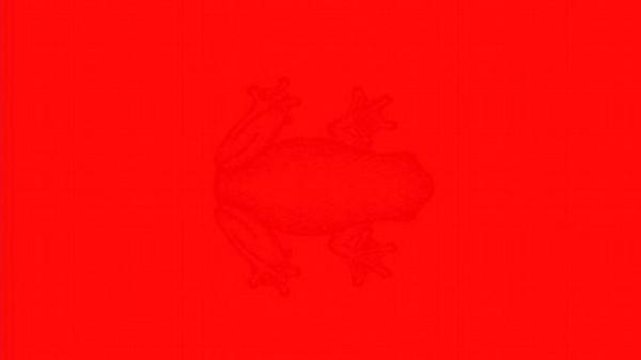 tes kepribadian introvert © 2016 brilio.net