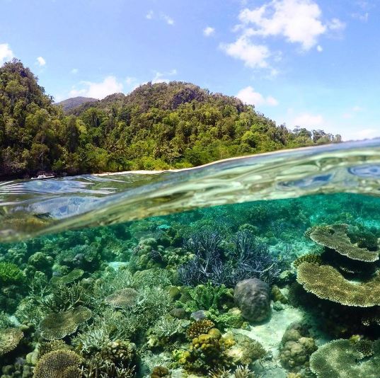 Labengk © 2016 brilio.net