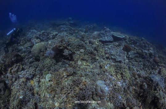 Labengk © 2016 brilio.net