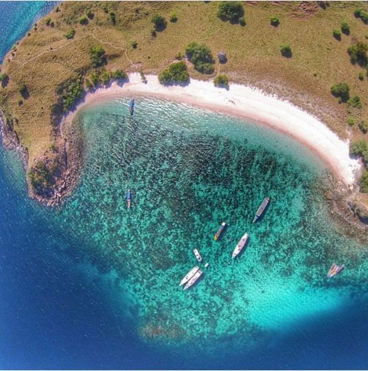 explore flores 1-10 © 2016 brilio.net explore flores 1-10 © 2016 brilio.net