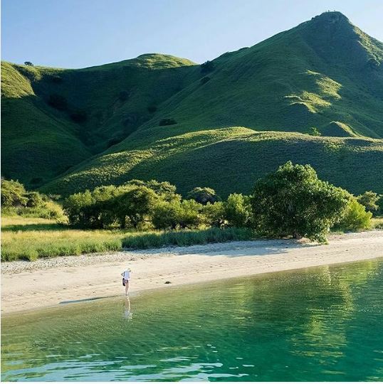 explore flores 1-10 © 2016 brilio.net explore flores 1-10 © 2016 brilio.net