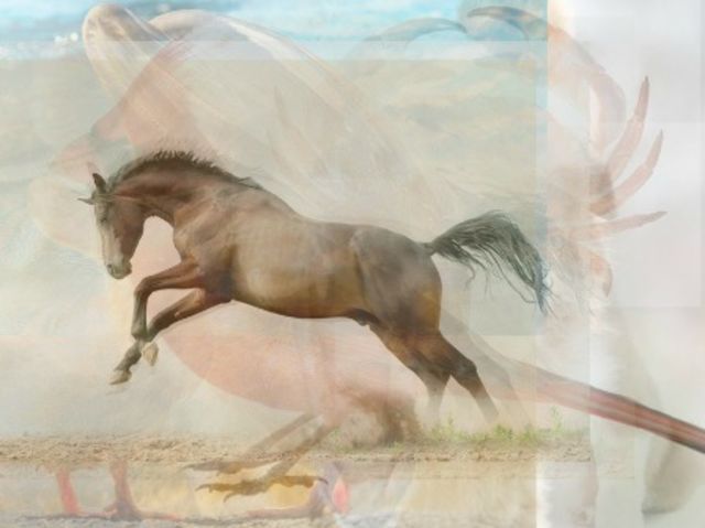 tebakan jumlah hewan © 2016 brilio.net tebakan jumlah hewan © 2016 brilio.net