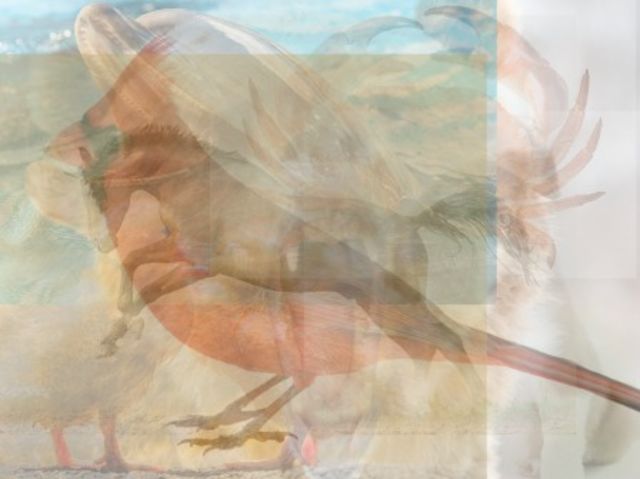 tebakan jumlah hewan © 2016 brilio.net tebakan jumlah hewan © 2016 brilio.net