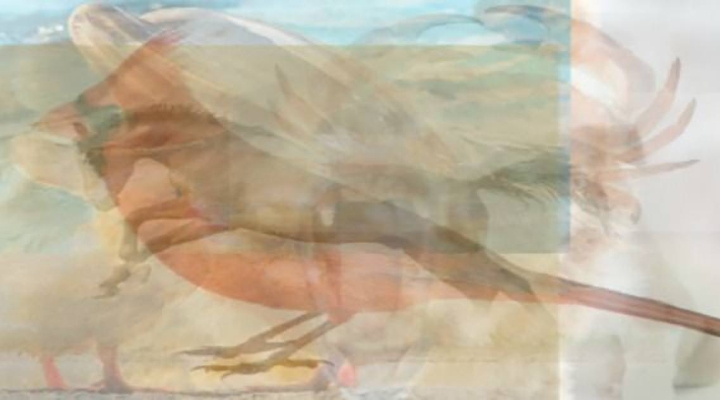 tebakan jumlah hewan © 2016 brilio.net tebakan jumlah hewan © 2016 brilio.net