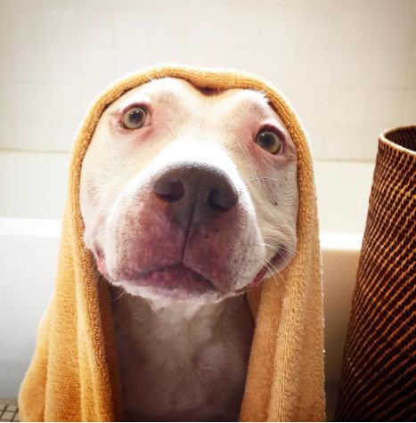 Brinks © 2016 brilio.net