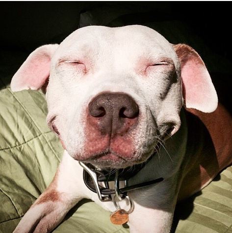 Brinks © 2016 brilio.net