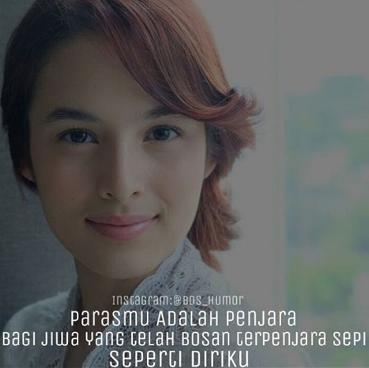 quote puitis © 2016 brilio.net