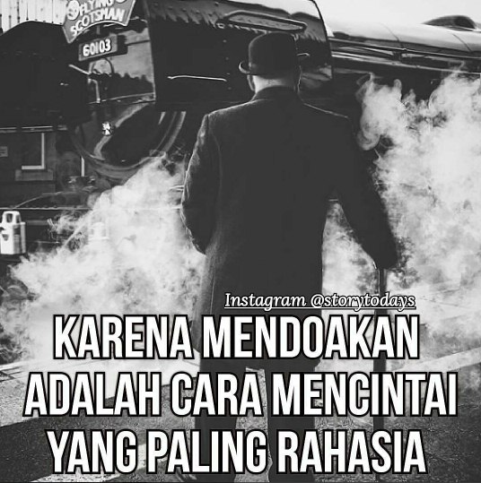 quote puitis © 2016 brilio.net