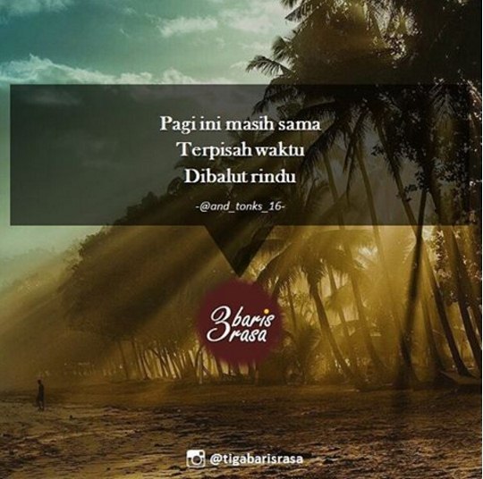 quote puitis © 2016 brilio.net