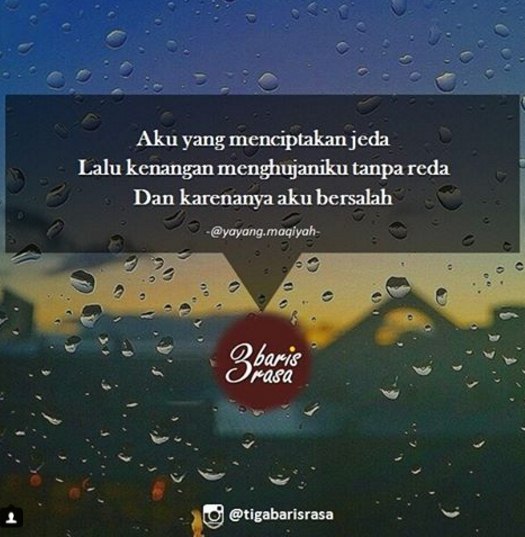 quote puitis © 2016 brilio.net