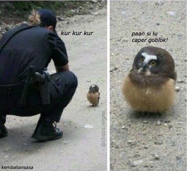 percakapan pak polisi ini bikin ketawa ngakak © 2016 brilio.net percakapan pak polisi ini bikin ketawa ngakak © 2016 brilio.net