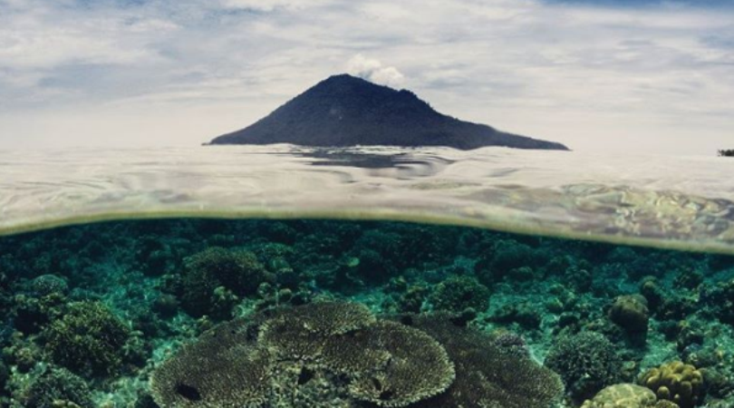 Bunaken Island © 2016 brilio.net Bunaken Island © 2016 brilio.net