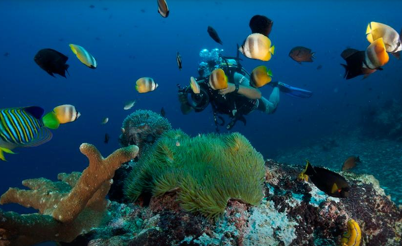 Bunaken Island © 2016 brilio.net Bunaken Island © 2016 brilio.net