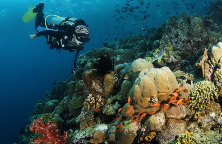 Bunaken Island © 2016 brilio.net Bunaken Island © 2016 brilio.net