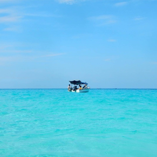 mursala  © 2016 brilio.net