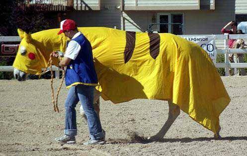 Pokemon Duh © 2016 brilio.net