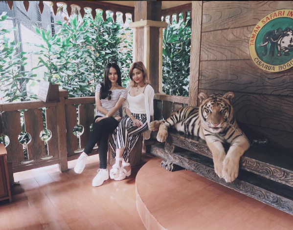 sarah awkarin © 2016 brilio.net