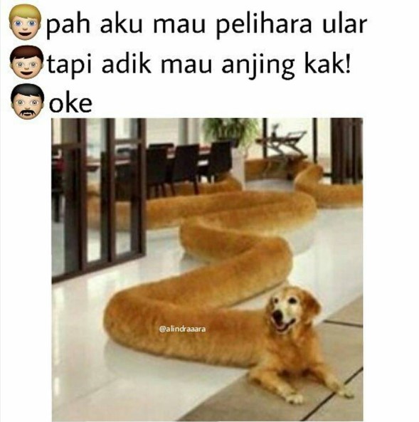 meme multitasking © 2016 Aliandraara meme multitasking © 2016 Aliandraara