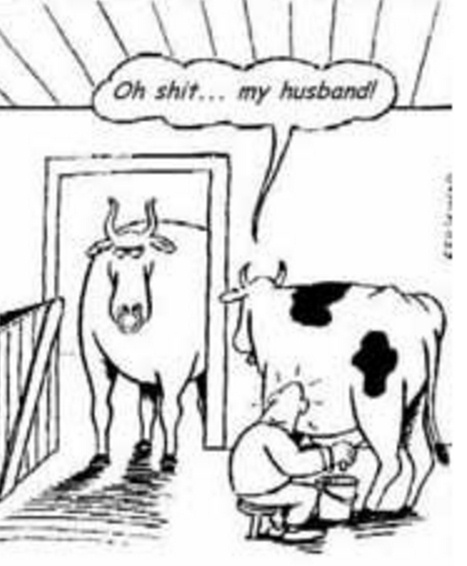 selingkuh meme  © 2016 brilio.net selingkuh meme  © 2016 brilio.net