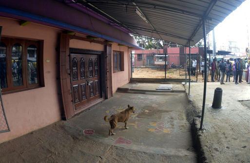 Bikin bingung pengunjung, anjing ini kelilingi kuil Hindu setiap hari