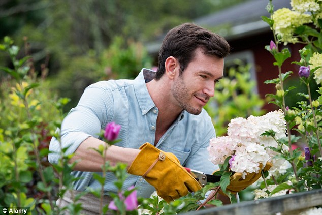 cowok berkebun © 2016 brilio.net