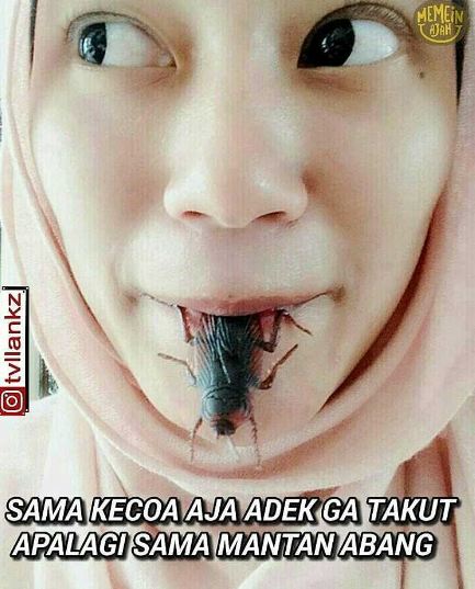 Meme Sindir Kecoak © 2016 brilio.net