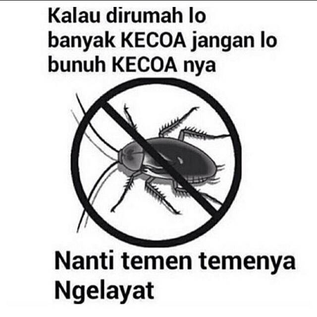 Meme Sindir Kecoak © 2016 brilio.net