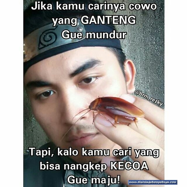 Meme Sindir Kecoak © 2016 brilio.net