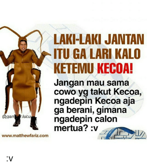 Meme Sindir Kecoak © 2016 brilio.net