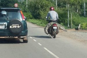 Orang ini bonceng buaya di sepeda motor, duh santai banget! 
