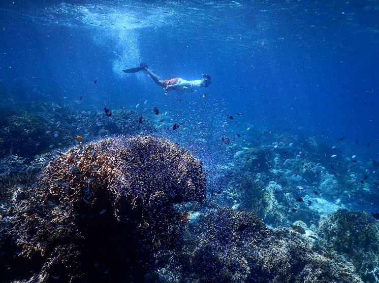 12 Potret keindahan Pulau Moyo, tempat Putri Diana hindari paparazzi!