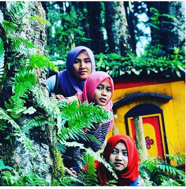 rumah hobbit purbalingga © 2016 brilio.net