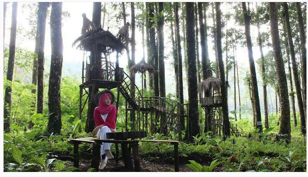 Nggak hanya di Bandung, rumah ala 'The Hobbit' juga ada di Purbalingga