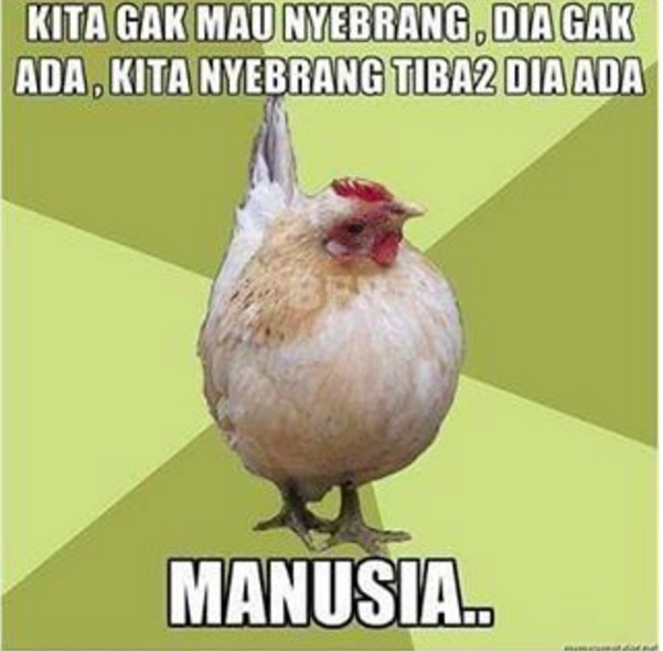 meme nyebrang © 2016 brilio.net meme nyebrang © 2016 brilio.net