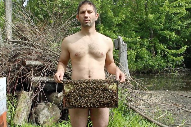 Aneh tapi nyata, pria ini kerja di pembibitan lebah tanpa busana!